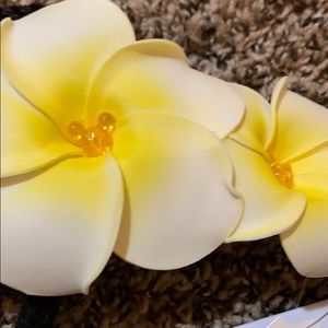 Disney Aulani Minnie Ears